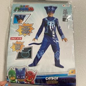 PJ Masks Cat Boy costume